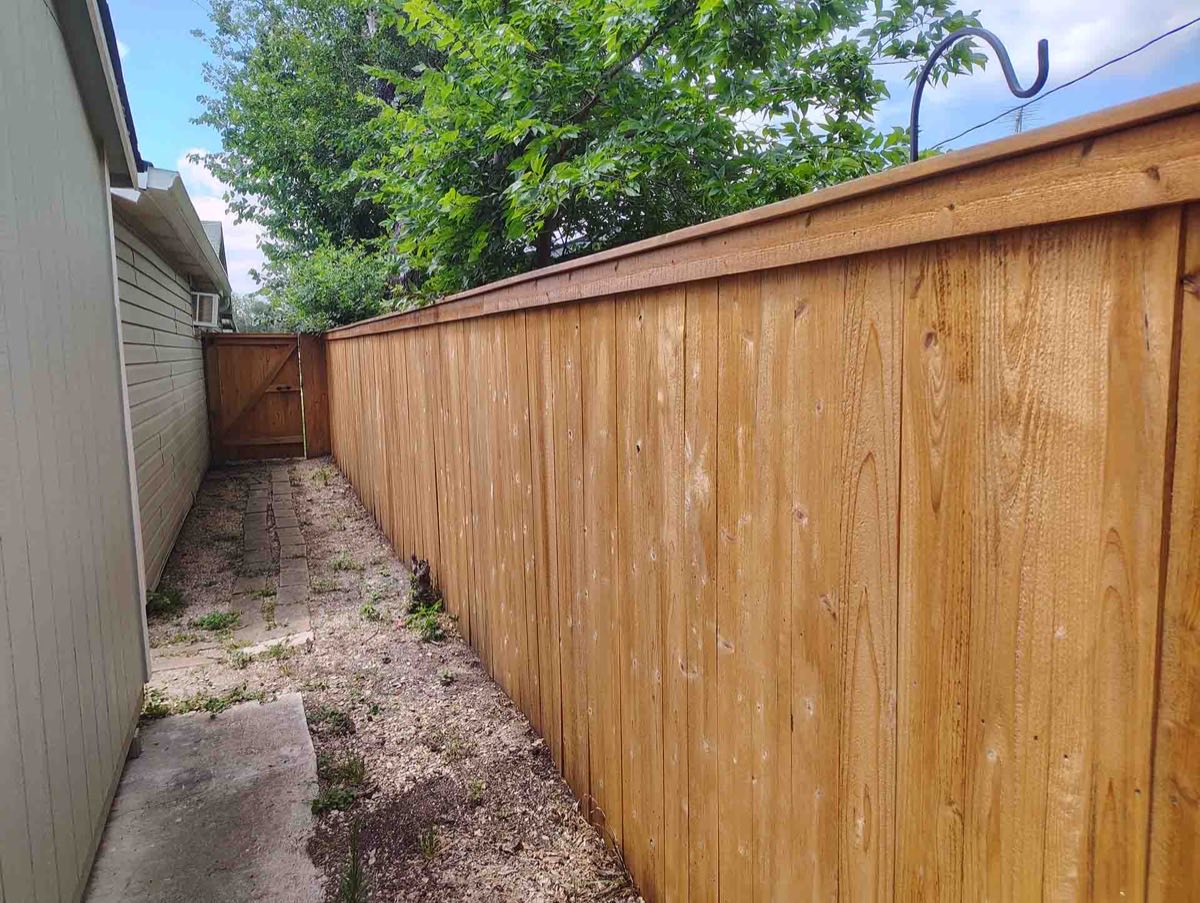 Wooden fence beside a pathway